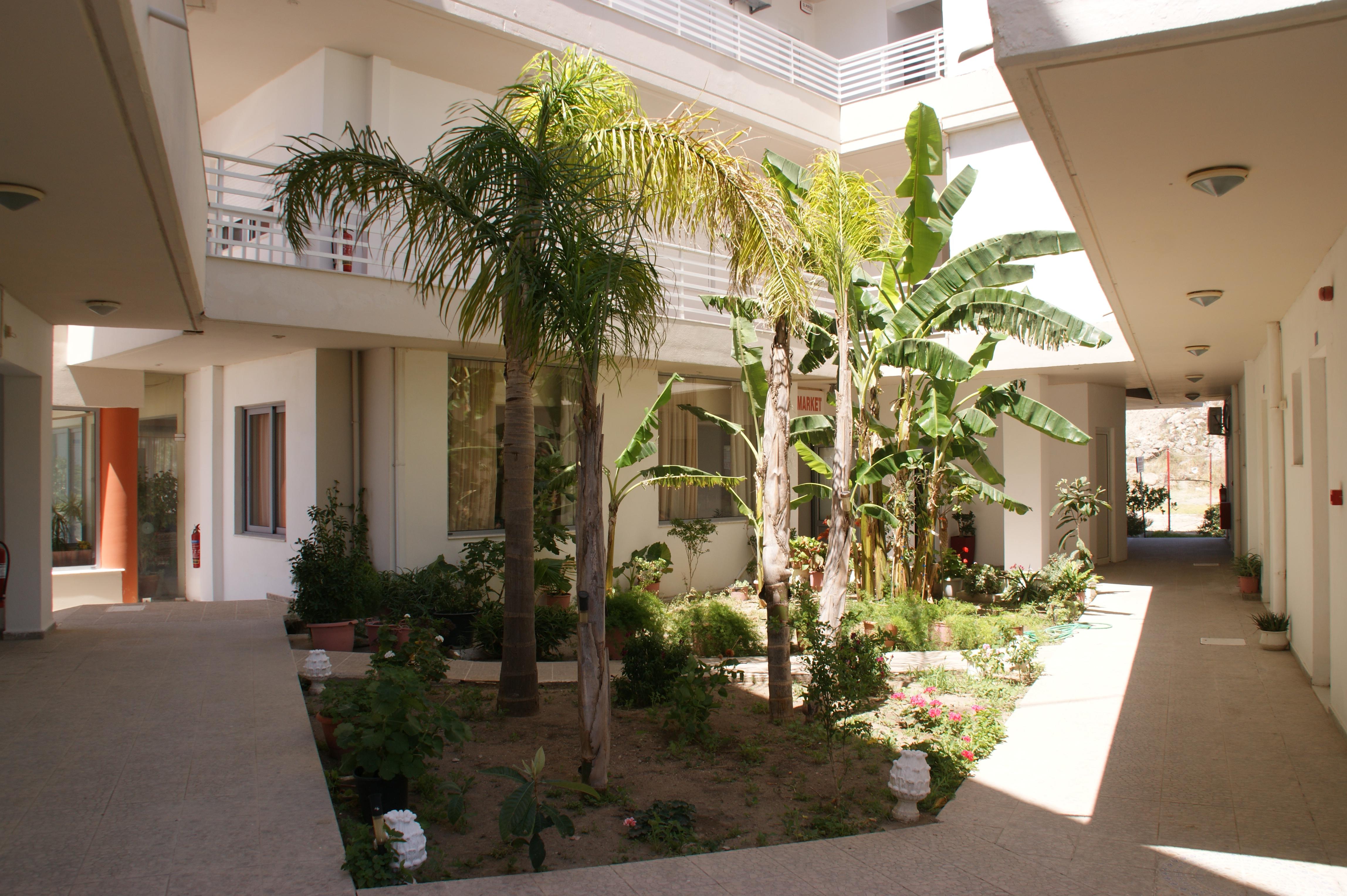 Faliraki Dream Studios & Apartments Екстериор снимка