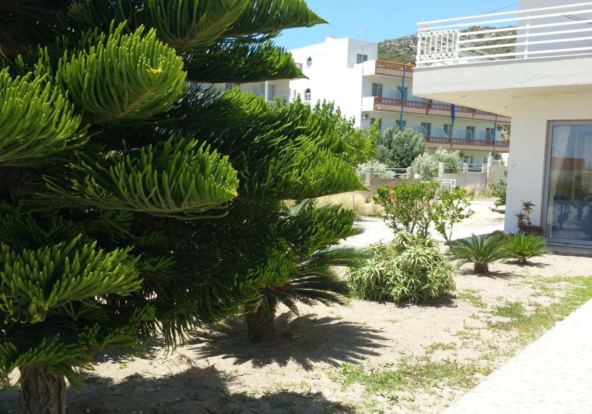 Faliraki Dream Studios & Apartments Екстериор снимка