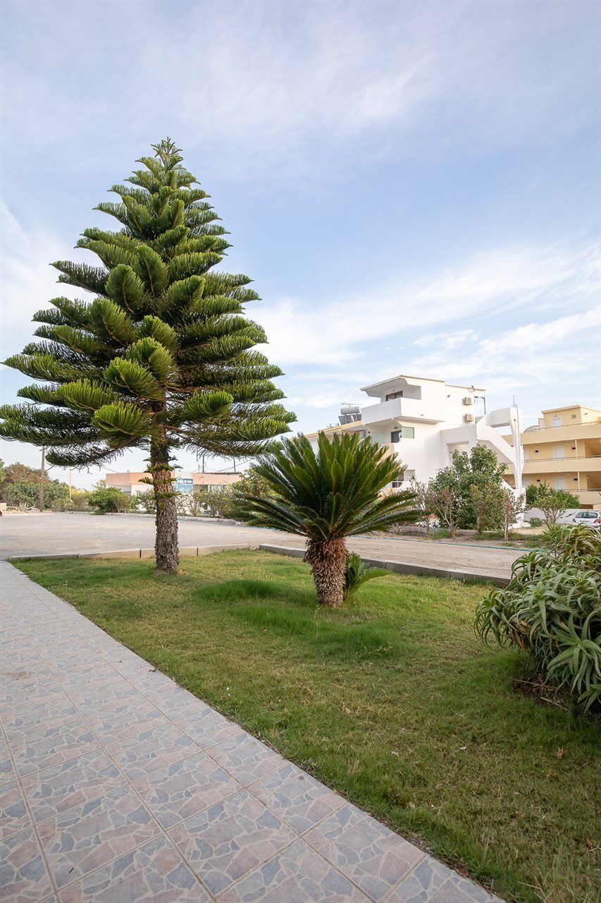 Faliraki Dream Studios & Apartments Екстериор снимка